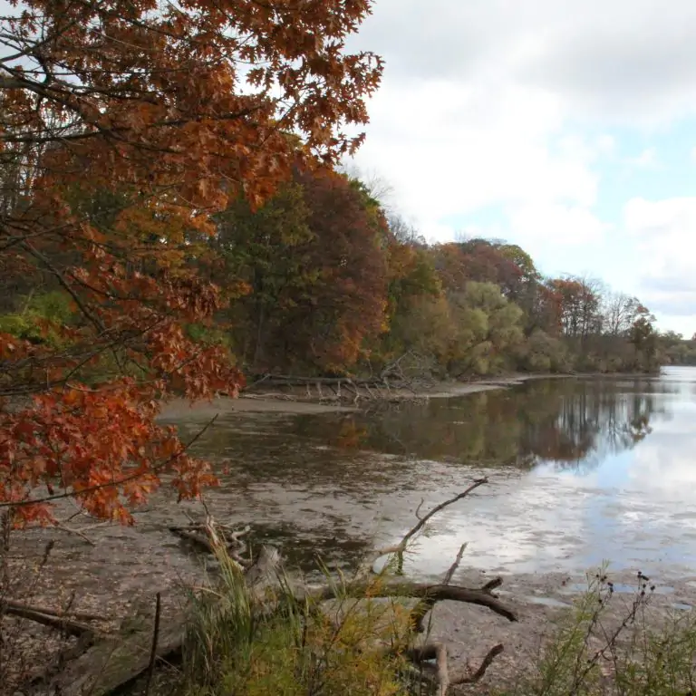 View of Cootes Paradise with low water level and leaves are deep set fall colours