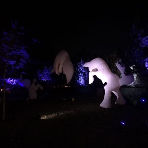 Winter Wonders Arctic Fox Arctic Fox art and light installation
