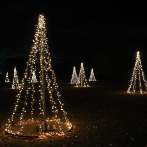Winter Wonders Festive Forest forest of christmas trees made out of string lights