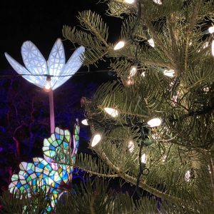 Winter Wonders Bloodroot Fir Close up of a Fir Tree decorated with string lights. Bloodroot sculpture can be seen brightly in the background