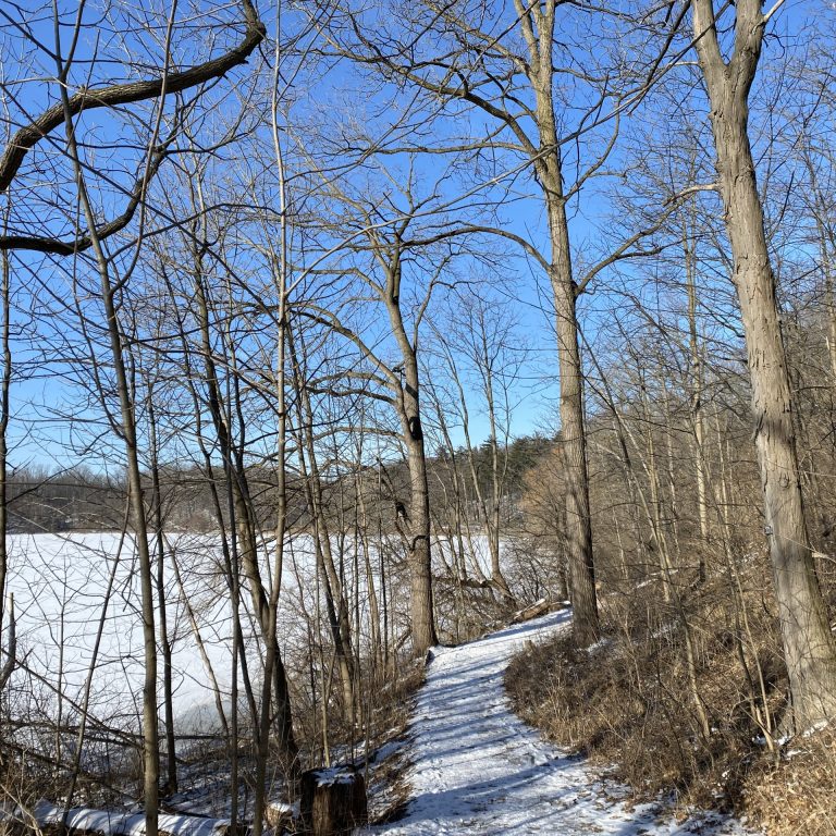 snow and ice covered trail along the edge of cootes paradise