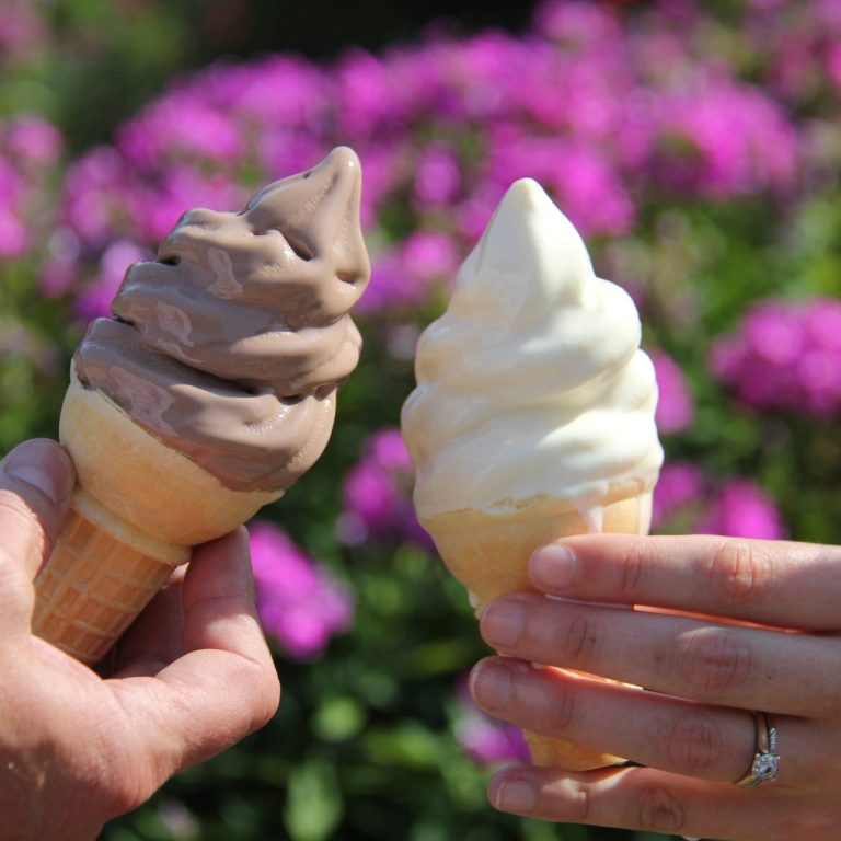 Chocolate and vanilla soft serve ice cream cones held up in front of the rose garden