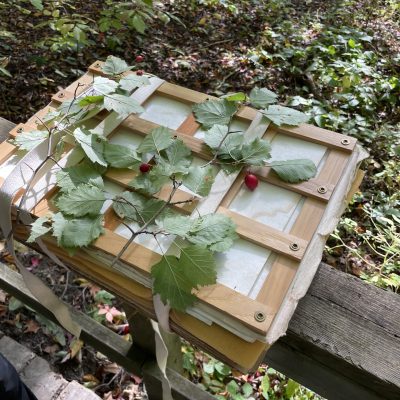 Comparing Crataegus species in Westminster Ponds Conservation Area. Image by Jon Peter. Comparing Crataegus species in Westminster Ponds Conservation Area.