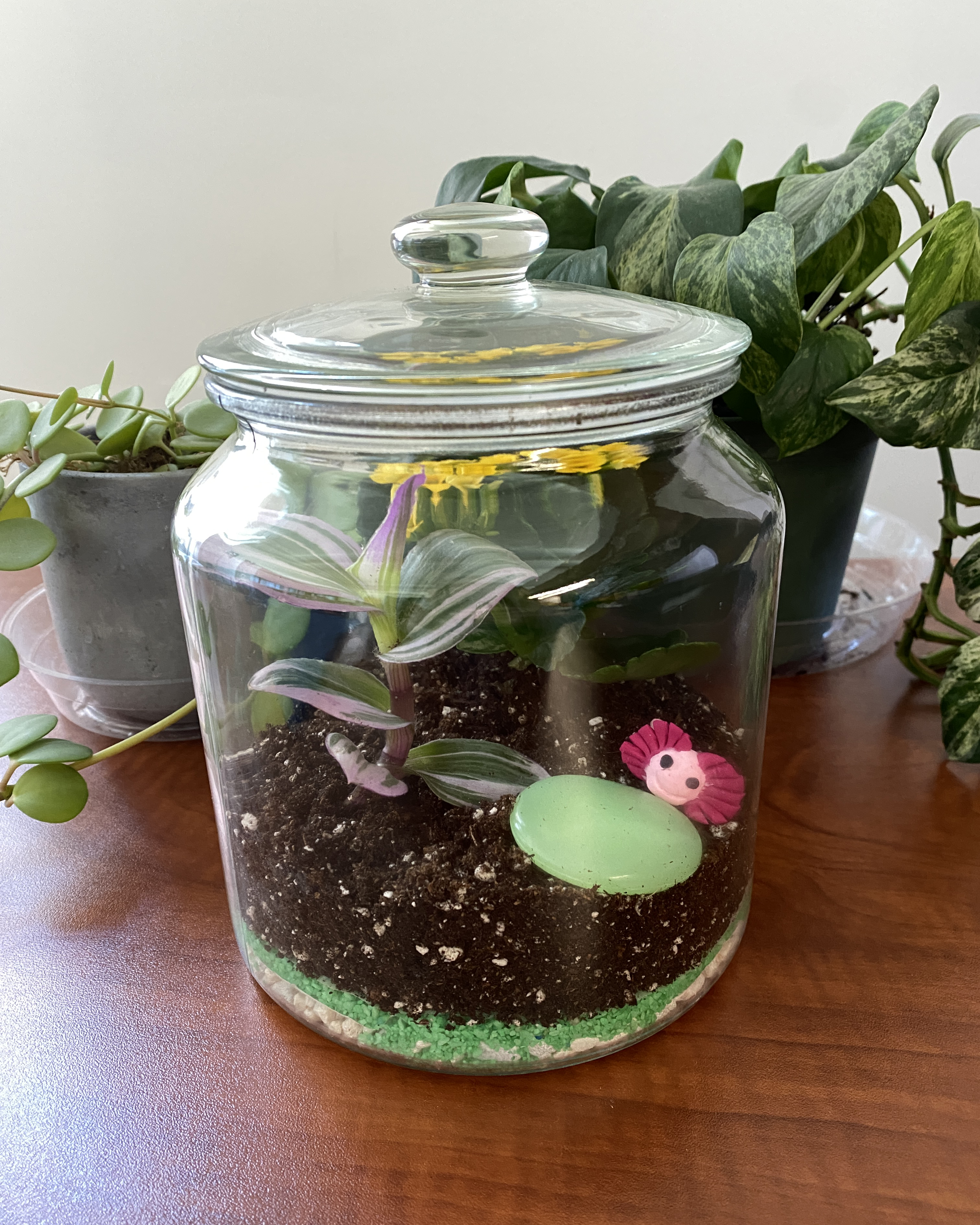 Simple terrarium in a glass jar featuring a small toy axolotl