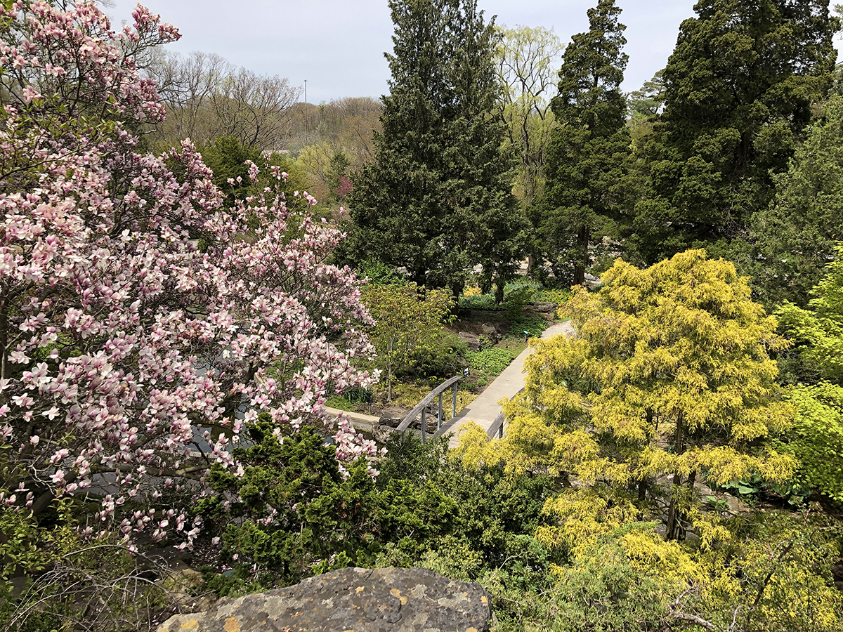 View from Lookout at Rock Garden in Spring