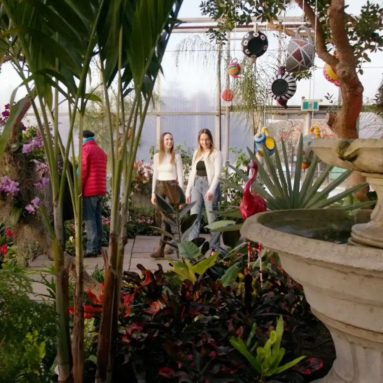 two guests walking through the Mediterranean Garden and looking up towards hand painted tea pots