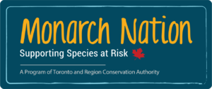 Monarch Nation Badge in English