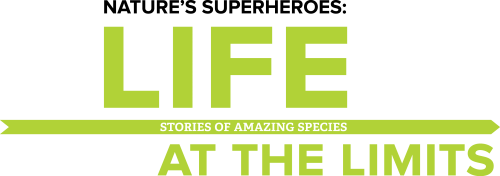 NatureSuperheroes_Wordmark Nature's Superheroes: Life at the Limits