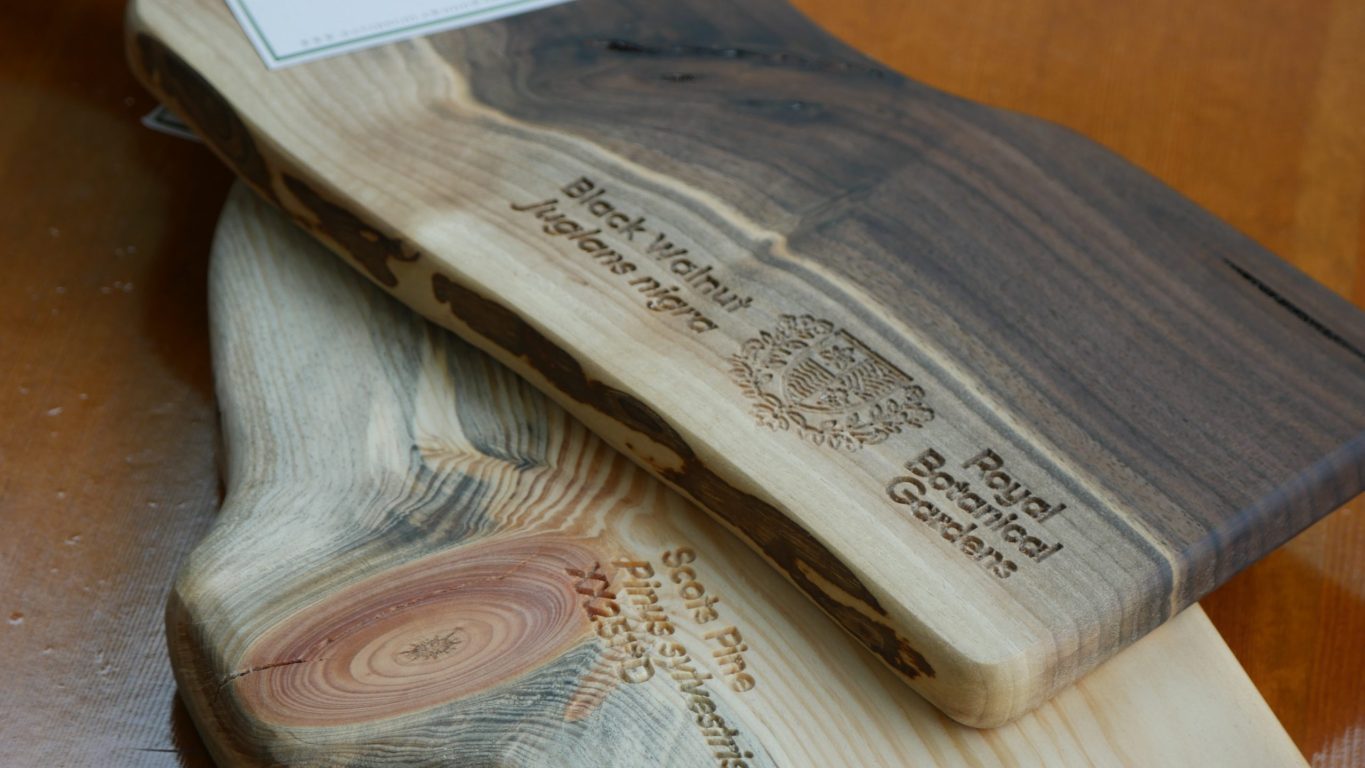 Two wooden boards with the rbg logo imprinted