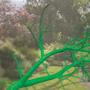 Seeing The Invisible - Pamela Rosenkranz - Anamazon (Limb), Anamazon (Limb), Pamela Rosenkranz