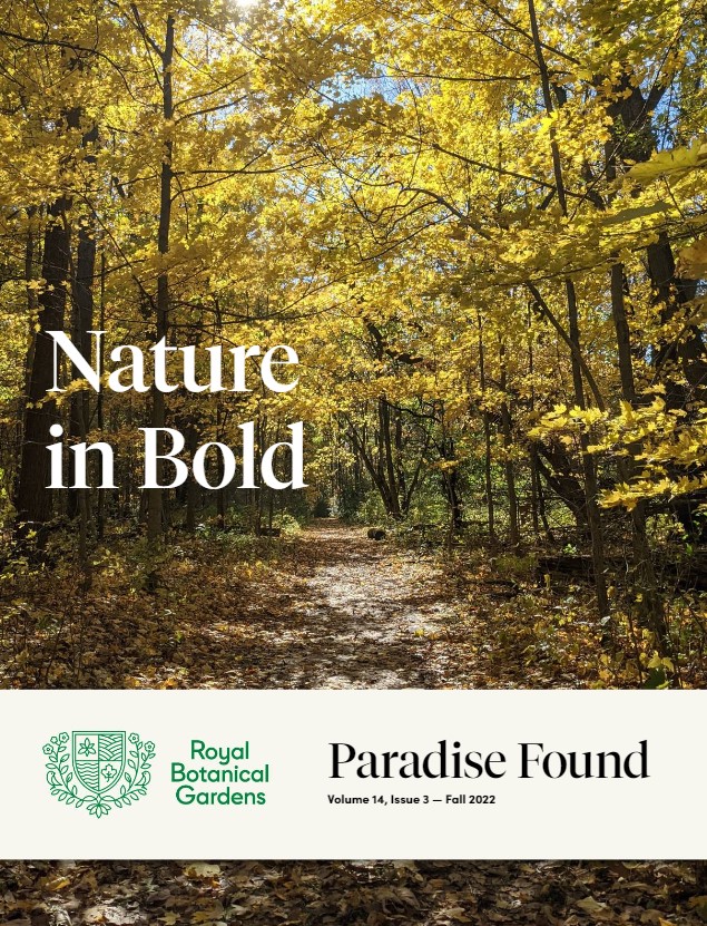 paradise found magazine cover featuring a forest trail during the fall