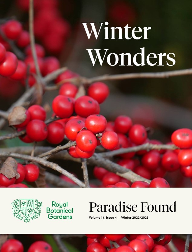 cover of Paradise Found magazine with the title "Winter Wonders". Bright red winterberries are featured.