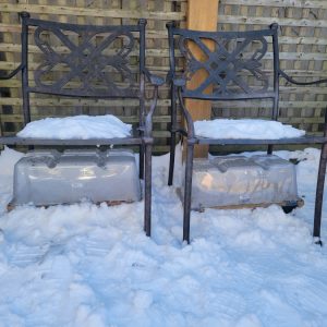 Pams-setup-2022-scaled Setup using a greenhouse tray with a high dome. Inside are either cell inserts or smaller containers.