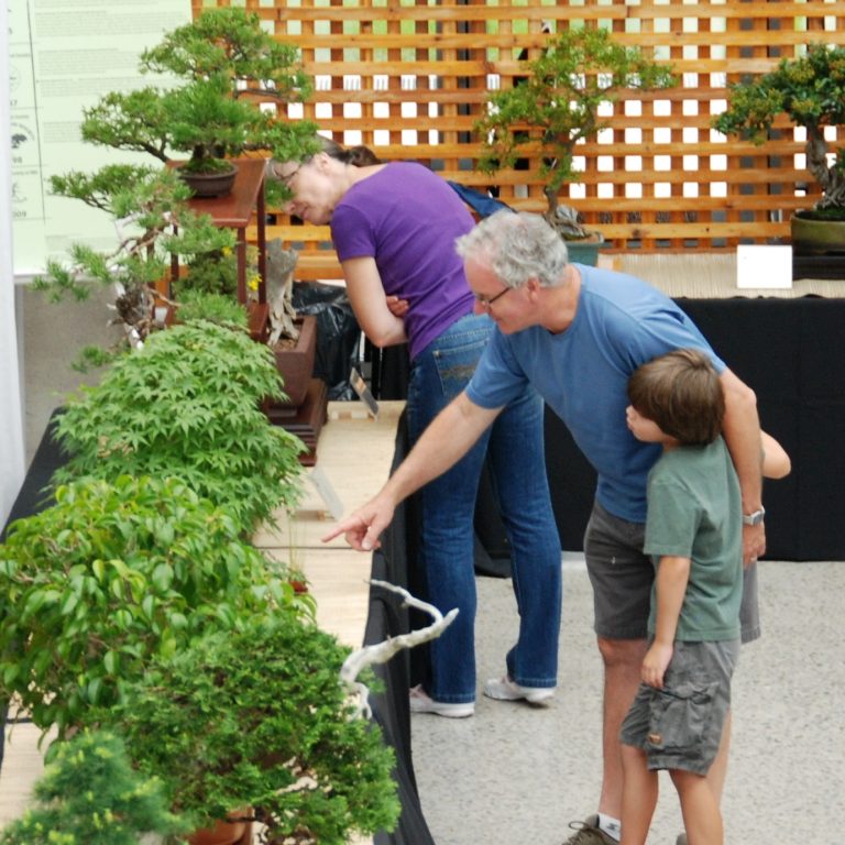 visitors viewing bonsai show display