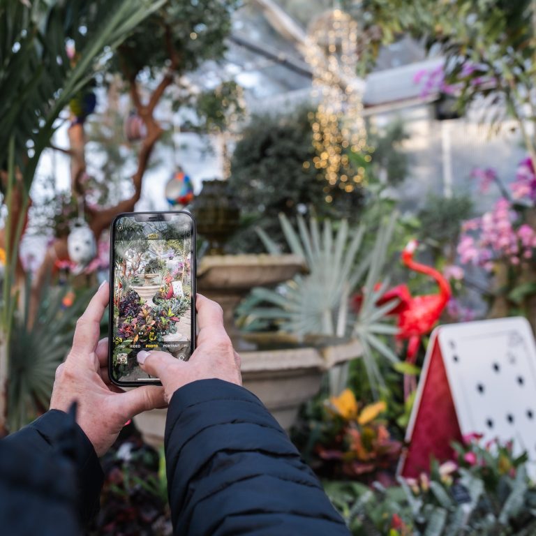 person taking photo in the Mediterranean Garden of the Alice in Bloomland decor