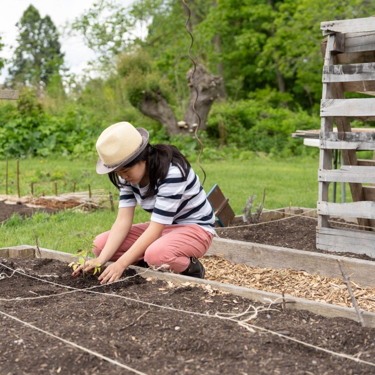 Child digging into soil in rased garden bed
