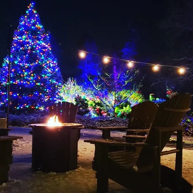 Muskoka chairs around a small fire. A large christmas tree with lights in the background