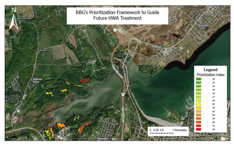 RBG's HWA Prioritization Framework Map RBG’s Prioritization Framework to Guide Future HWA Treatment” showing Cootes Paradise and surrounding Hamilton area. Coloured zones (green to red) indicate treatment priority levels, with a legend labeled “Prioritization Index,” north arrow, and kilometre scale.