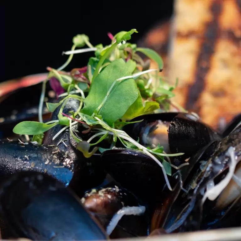 close up of mussels topped with microgreens