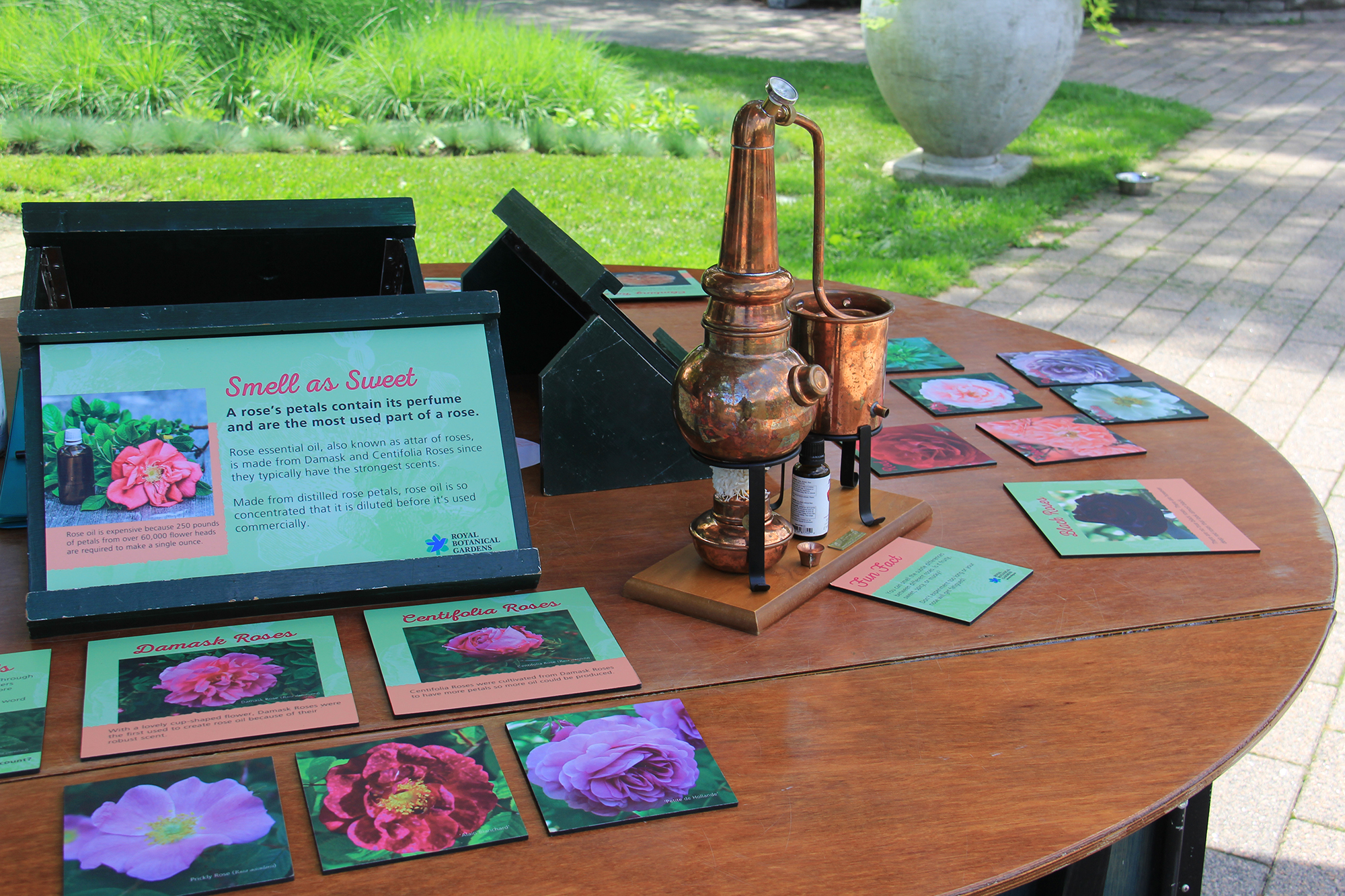 Discovery Cart Teaching About Roses