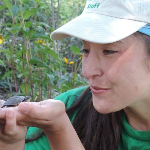 Sarah Richer with Blanding's Turtle Hatchling Sarah Richer with Blanding's Turtle Hatchling