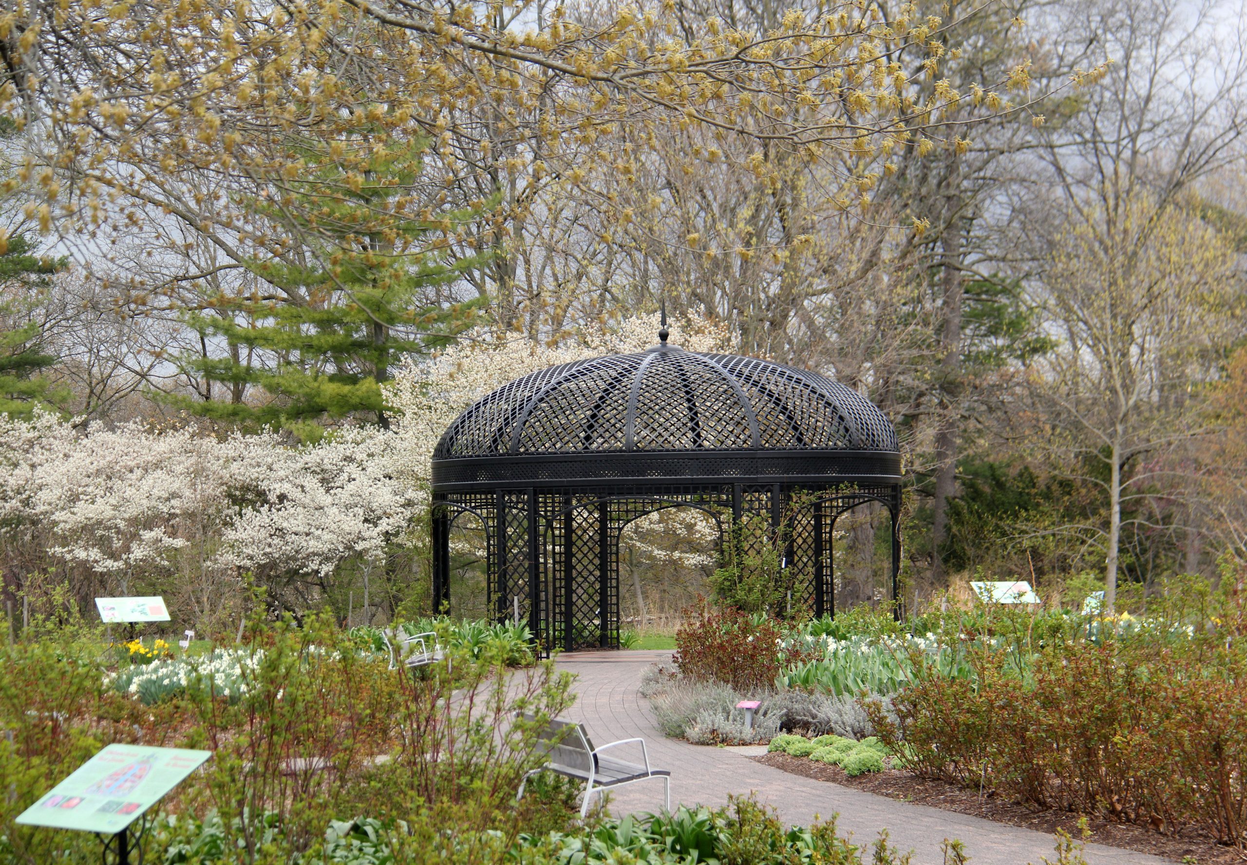 English Botanical Garden, Floral Black & White Pattern