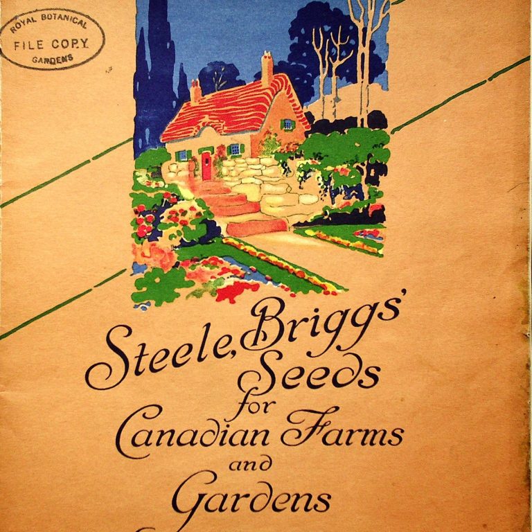Steele Briggs seed catalogue 1929