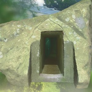 Seeing The Invisible - Timur Si-Qin Biome Gateway, 2021 Timur Si-Qin Biome Gateway, 2021