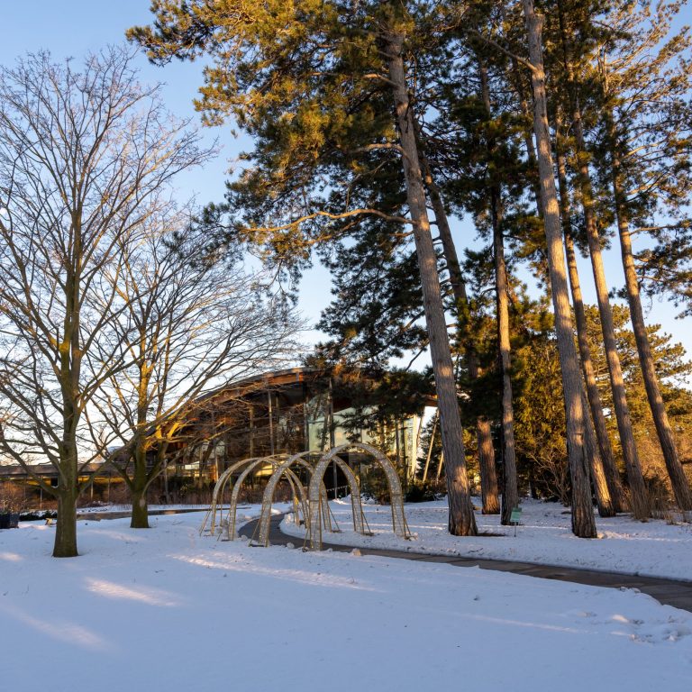 Exterior view of Rock Garden Visitor Centre from the upper terrace covered in a blanket of snow