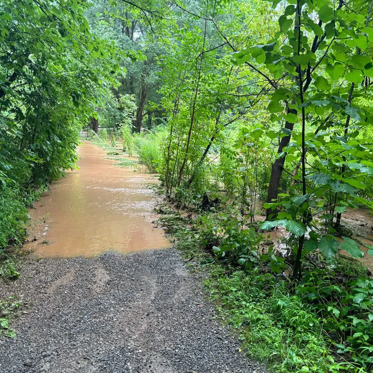 Nature trail fully flooded