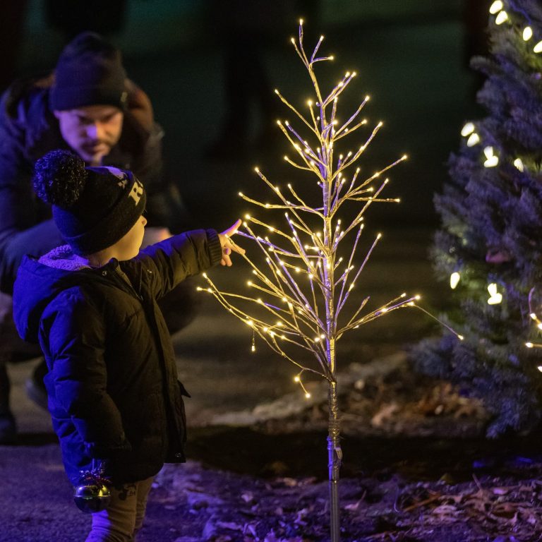 young boy looking at a small tree decorated with lights