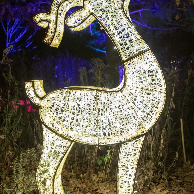 brightly lit deer decoration at Winter Wonders