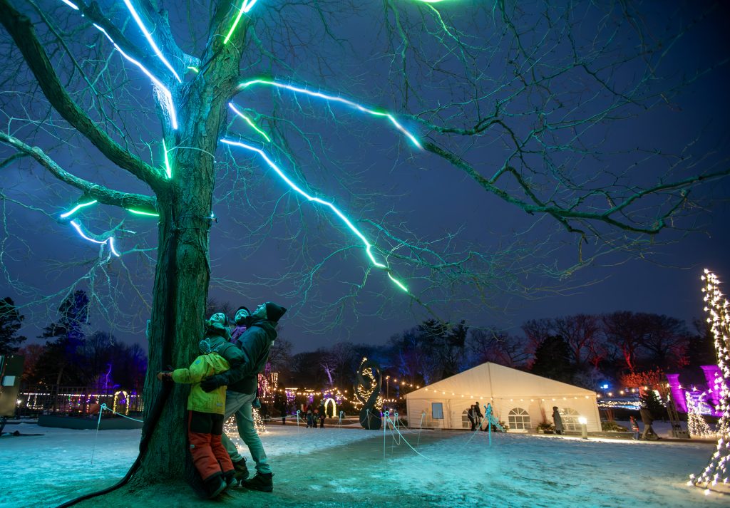 UP_WinterWonders2024_006 Tree Love by ZemVision, children hugging a tree, causing it to light up with holiday lights.