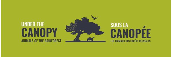 Under The Canopy-ENG-FR-logo (1) Under The Canopy Logo, featuring the silhouette of a large rainforest tree, bird, and tortoise