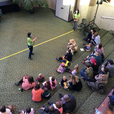 UnderTheCanopy-AnimalShow-PhotoByDavidGalbraith view from second floor looking down into families seating in the theatre watching an animal show