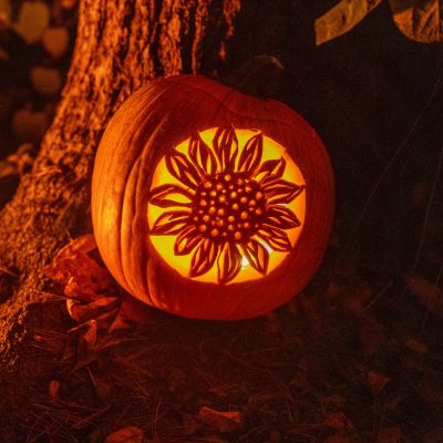 RBG After Dark: Pumpkin Trail Jack-o-lantern carved with a sunflower design