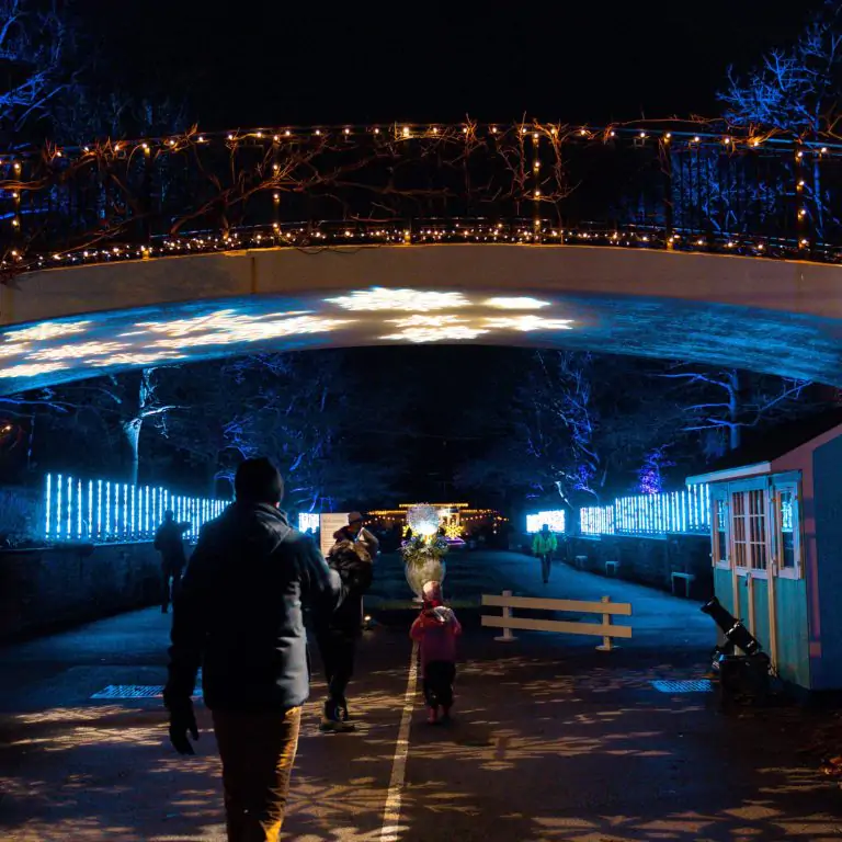 family walking into Hendrie Park during Winter Wonders with lights lining the entryway