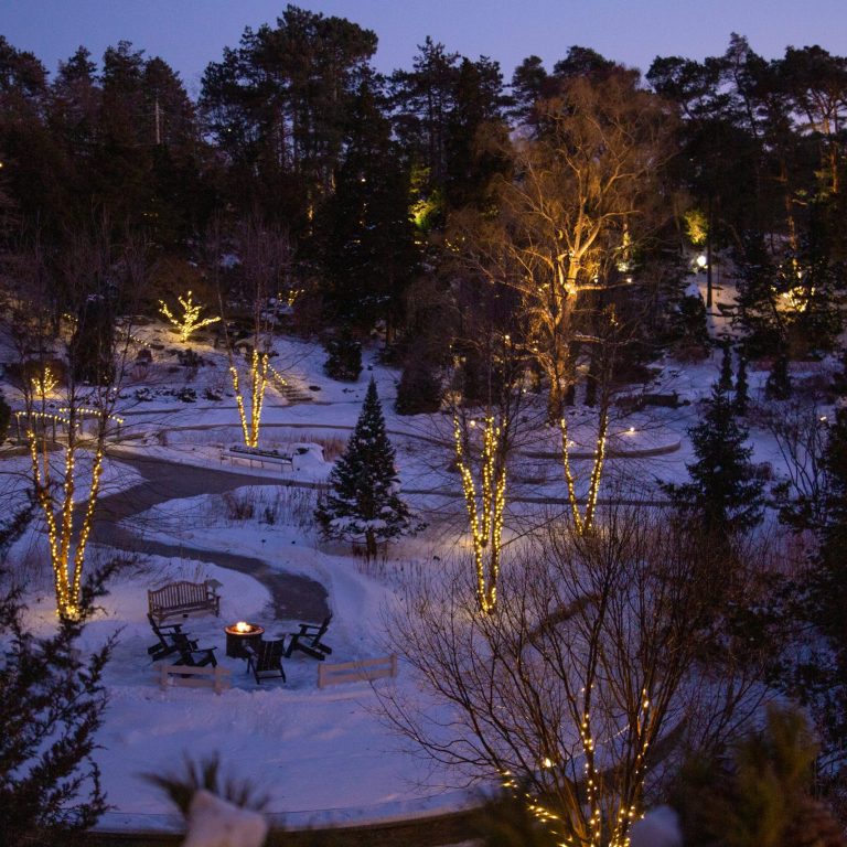 Trees wrapped in white string lights along the winding snowy pathways of the lower Rock Garden