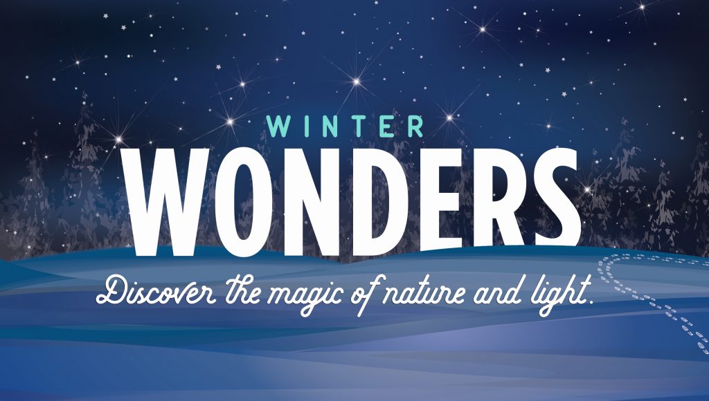 Winter Wonders, discover the magic of nature and light! Graphic with snowy starlight night illustration
