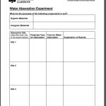 Water Absorption Activity Water Absorption Experiment