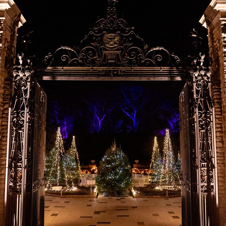 looking through the Hendrie Park gates at night to the christmas tree shapes made from lights