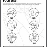backyard-food-web Backyard Food Web worksheet