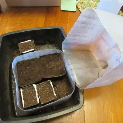 big-jug-with-smaller-ones-inside large plastic jug next to smaller soil containers