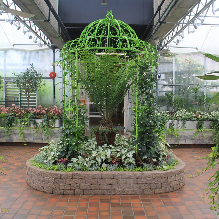 Breezeway display with central raised bed featuring green gazebo structure, leafy annuals, and a prehistoric-looking, fern-like cycad plant. Surrounded by raised beds with more leafy annuals and large tropical plants