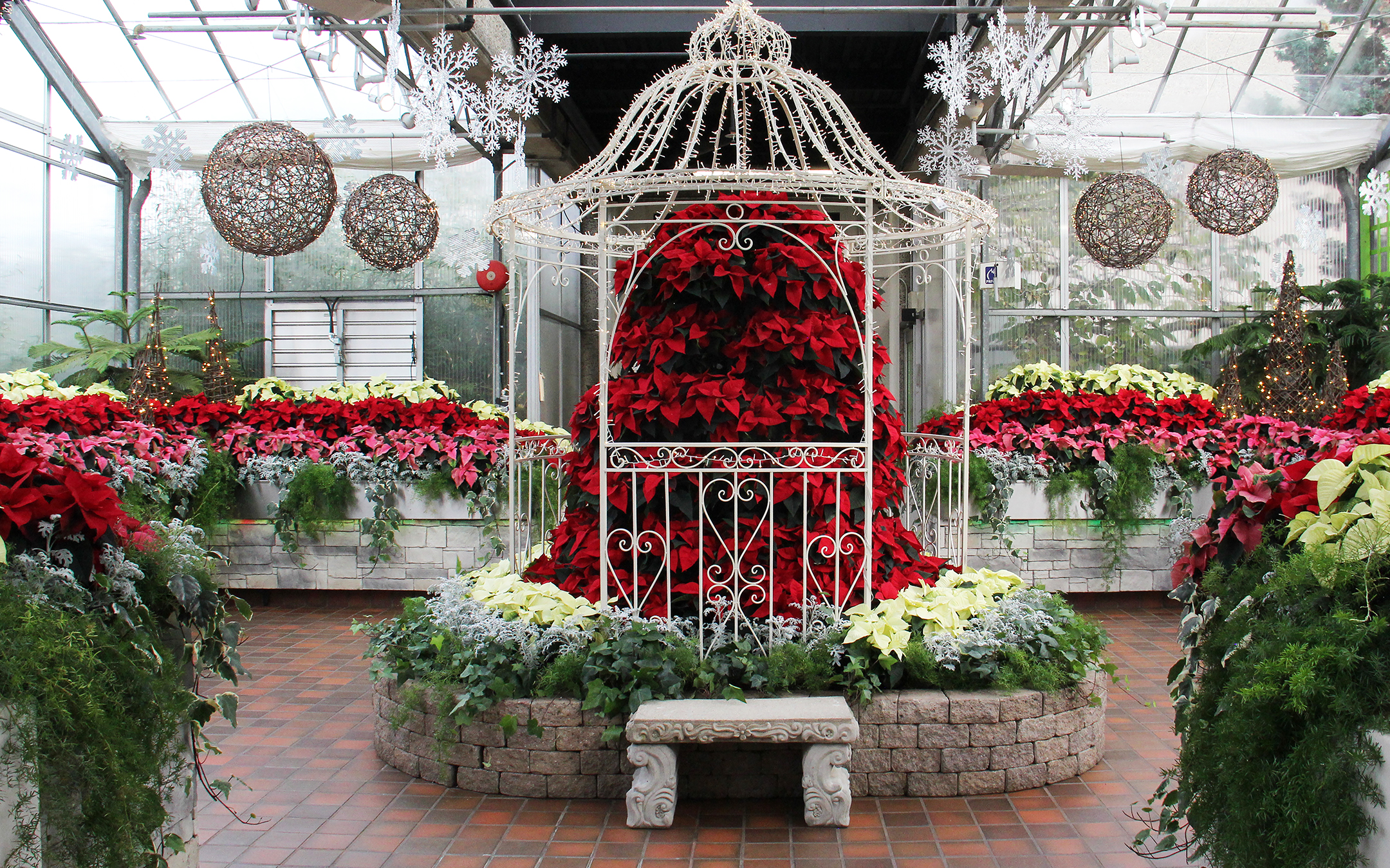 Breezeway - Poinsettias - RBG Centre Indoor Breezeway display full of poinsettias. At the centre of the room is a tall poinsettia "tree" within a gazebo lit with white lights.