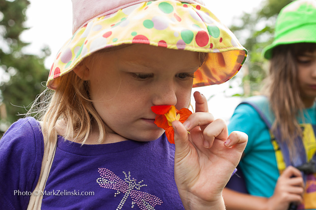 Child Smelling Edible Flower Credit Markzelinski.com