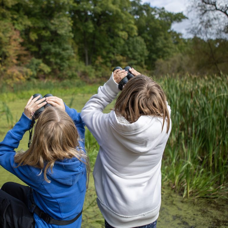 Two children with binoculars looking into a wetland