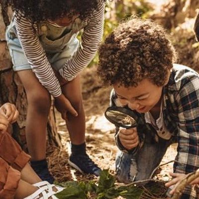 Group of young children examining natural materials outdoors