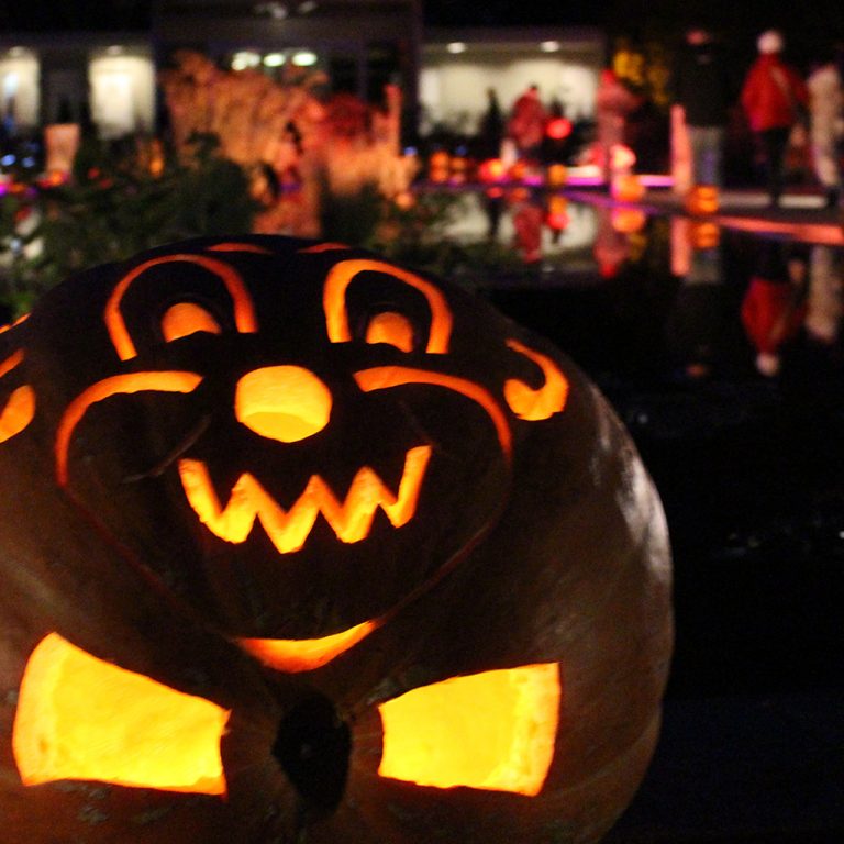 Clown carved on jack-o-lantern lit at night in Hendrie Park