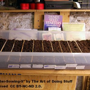 container-mistakes soil container set up in rows